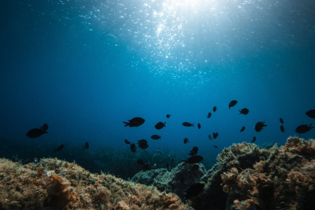 学習ニュース拾い読みのアイキャッチ画像