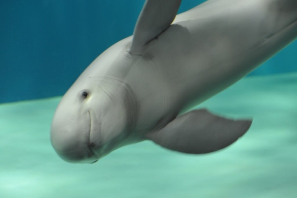 学習ニュース拾い読み記事のアイキャッチ画像