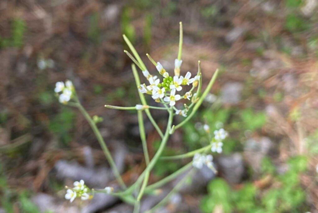 学習ニュース拾い読みのアイキャッチ画像