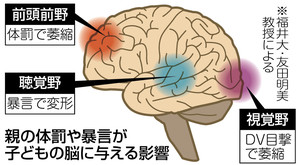 親の体罰・暴言で脳変形 両親間のＤＶ目撃も影響｜東京新聞