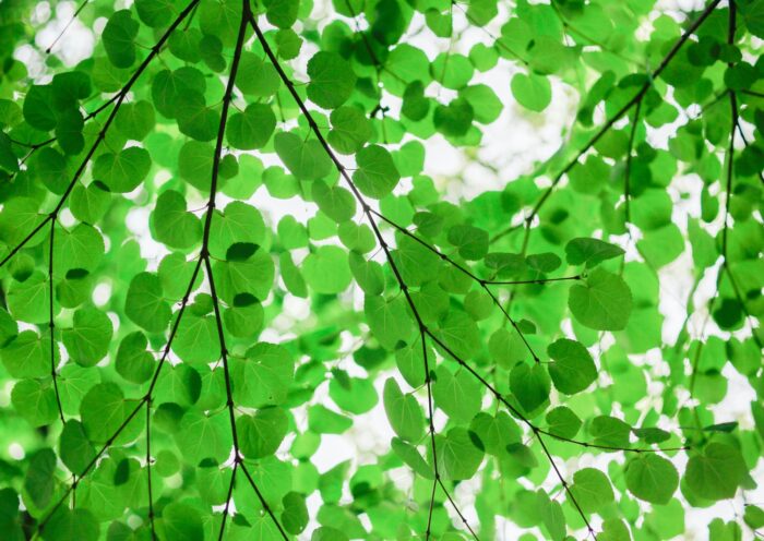 学習ニュース拾い読み記事のアイキャッチ画像