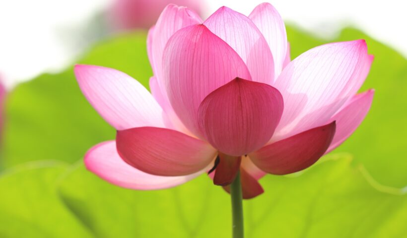 学習ニュース拾い読みのアイキャッチ画像