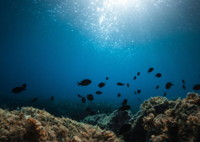 学習ニュース拾い読みのアイキャッチ画像