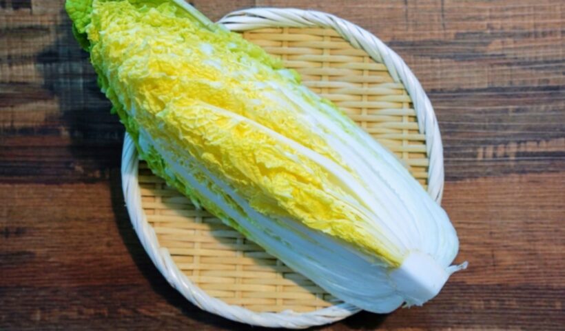 学習ニュース拾い読み記事のアイキャッチ画像