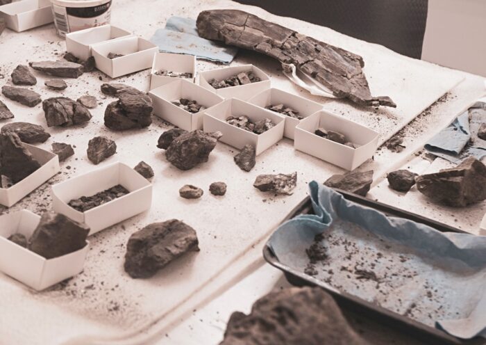 学習ニュース拾い読みのアイキャッチ画像