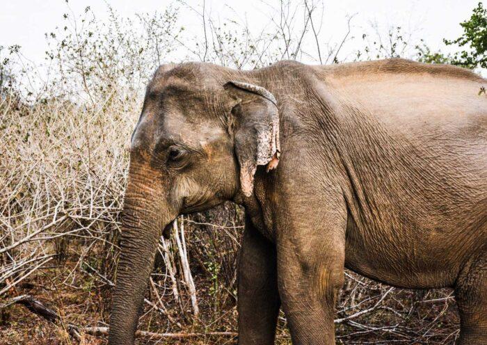 学習ニュース拾い読みのアイキャッチ画像