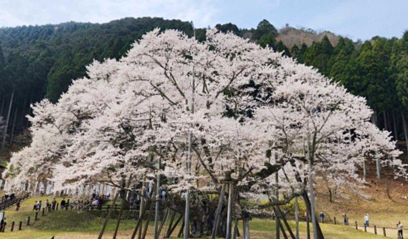 学習ニュース拾い読みのアイキャッチ画像