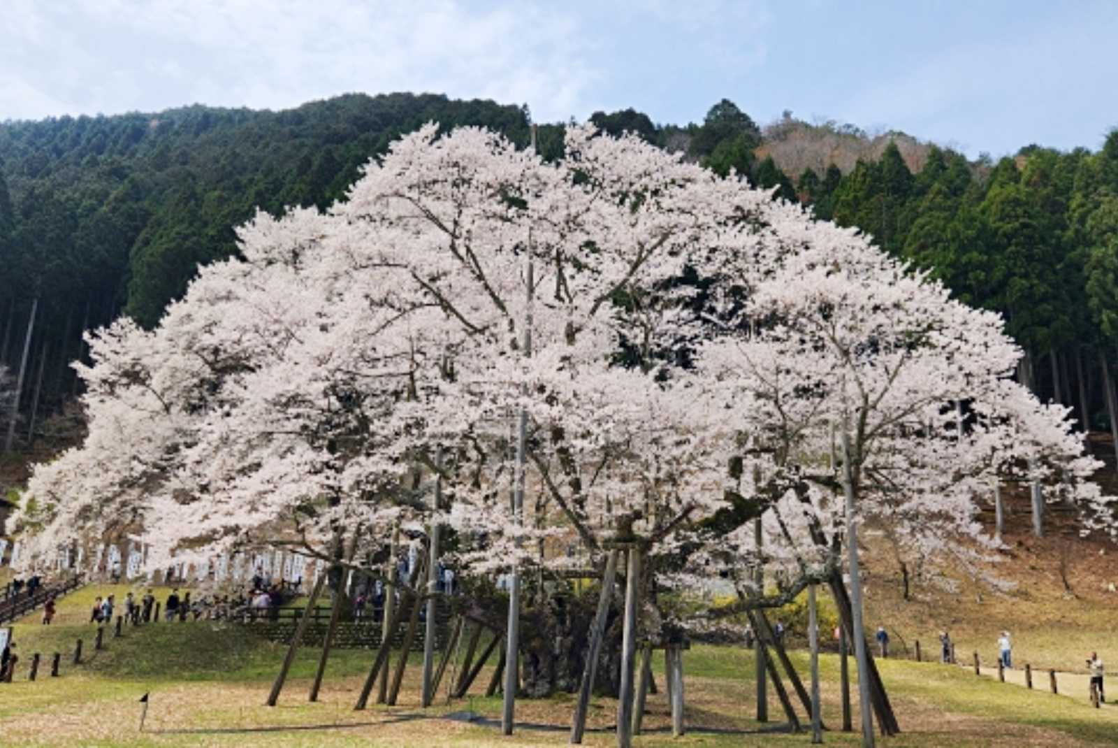 学習ニュース拾い読みのアイキャッチ画像