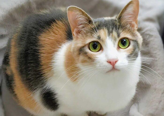学習ニュース拾い読みのアイキャッチ画像