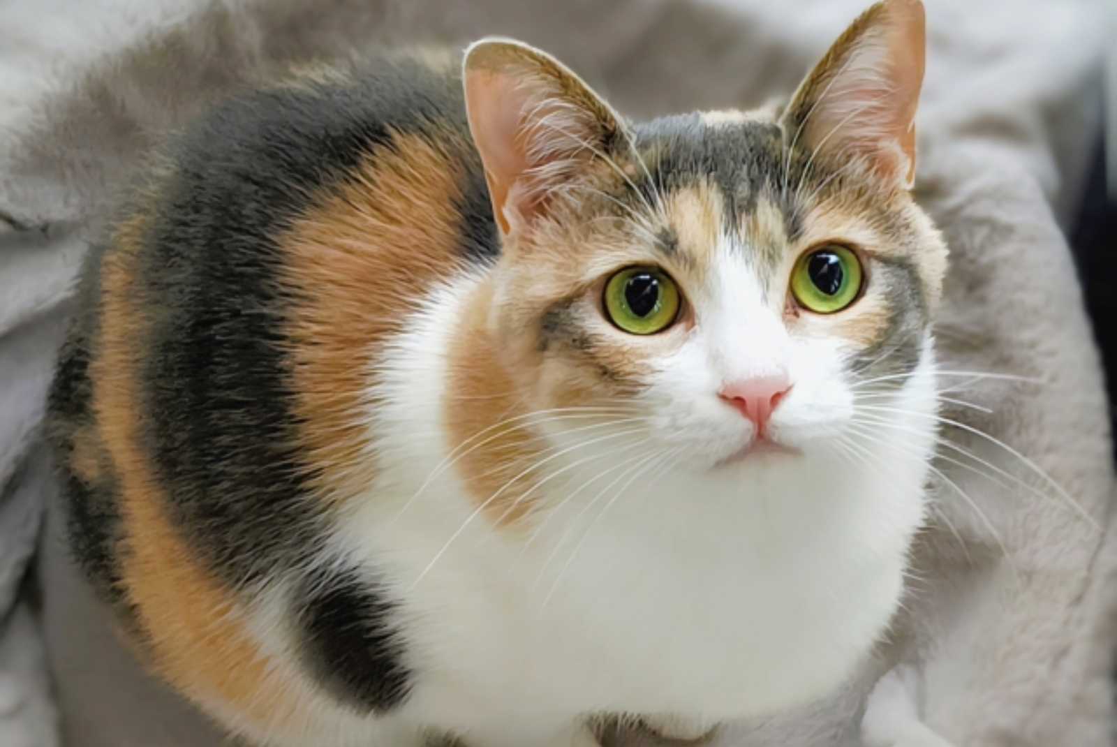 学習ニュース拾い読みのアイキャッチ画像