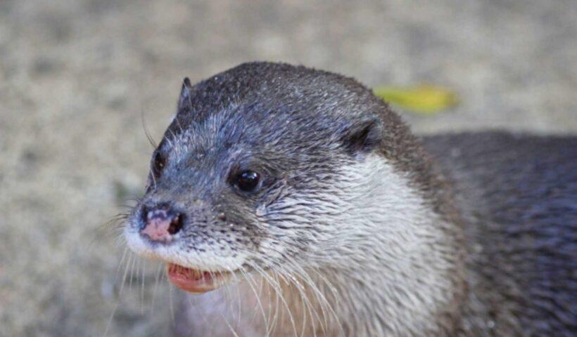 学習ニュース拾い読みのアイキャッチ画像
