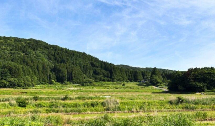 学習ニュース拾い読みのアイキャッチ画像