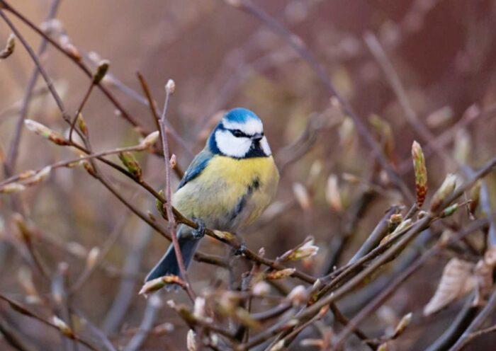 学習ニュース拾い読みのアイキャッチ画像