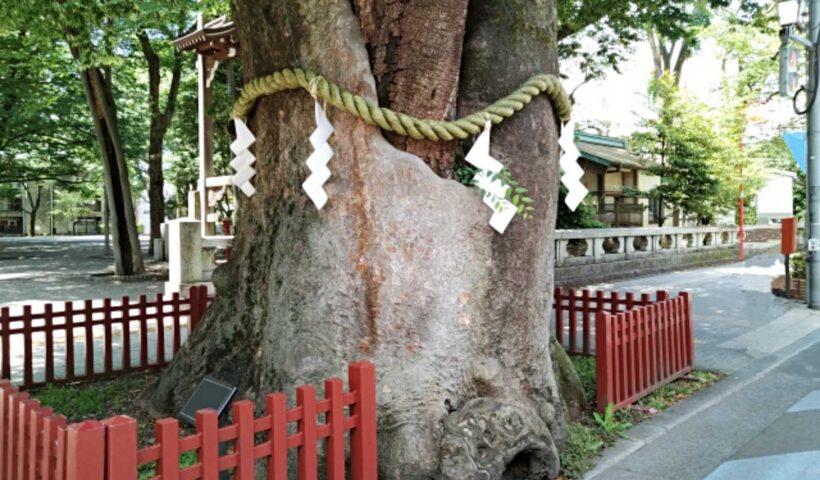 学習ニュース拾い読みのアイキャッチ画像