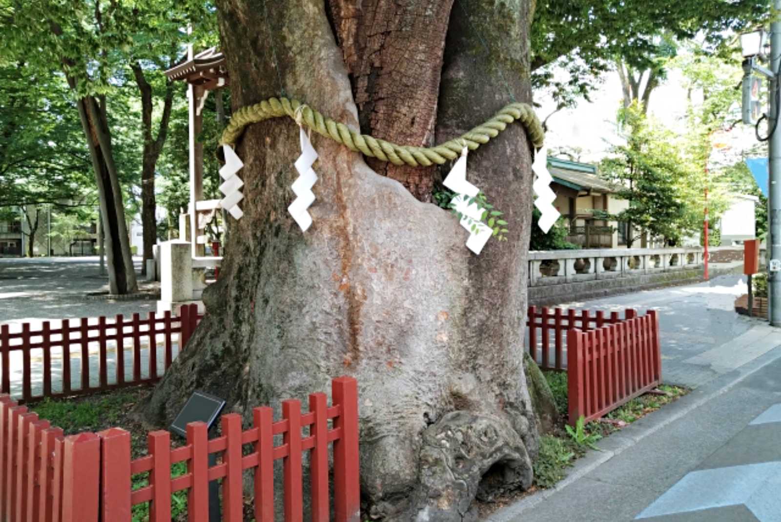 学習ニュース拾い読みのアイキャッチ画像