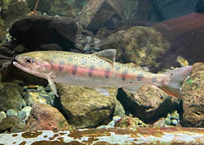 学習ニュース拾い読みのアイキャッチ画像