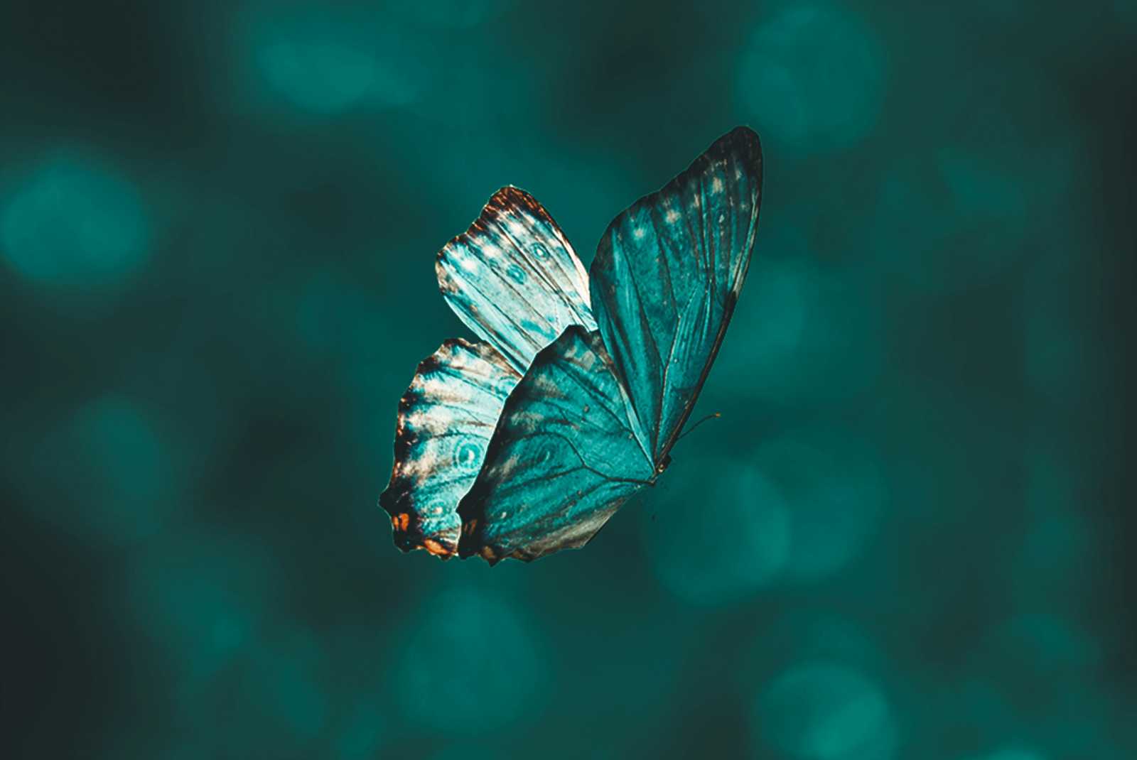 学習ニュース拾い読みのアイキャッチ画像