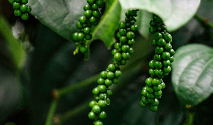 学習ニュース拾い読みのアイキャッチ画像