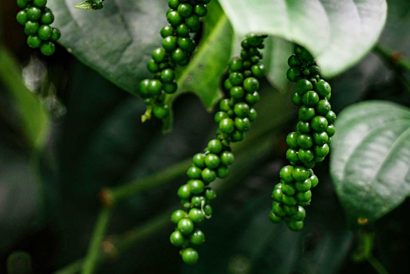 学習ニュース拾い読みのアイキャッチ画像