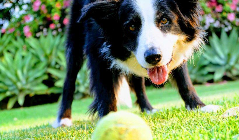 学習ニュース拾い読みのアイキャッチ画像