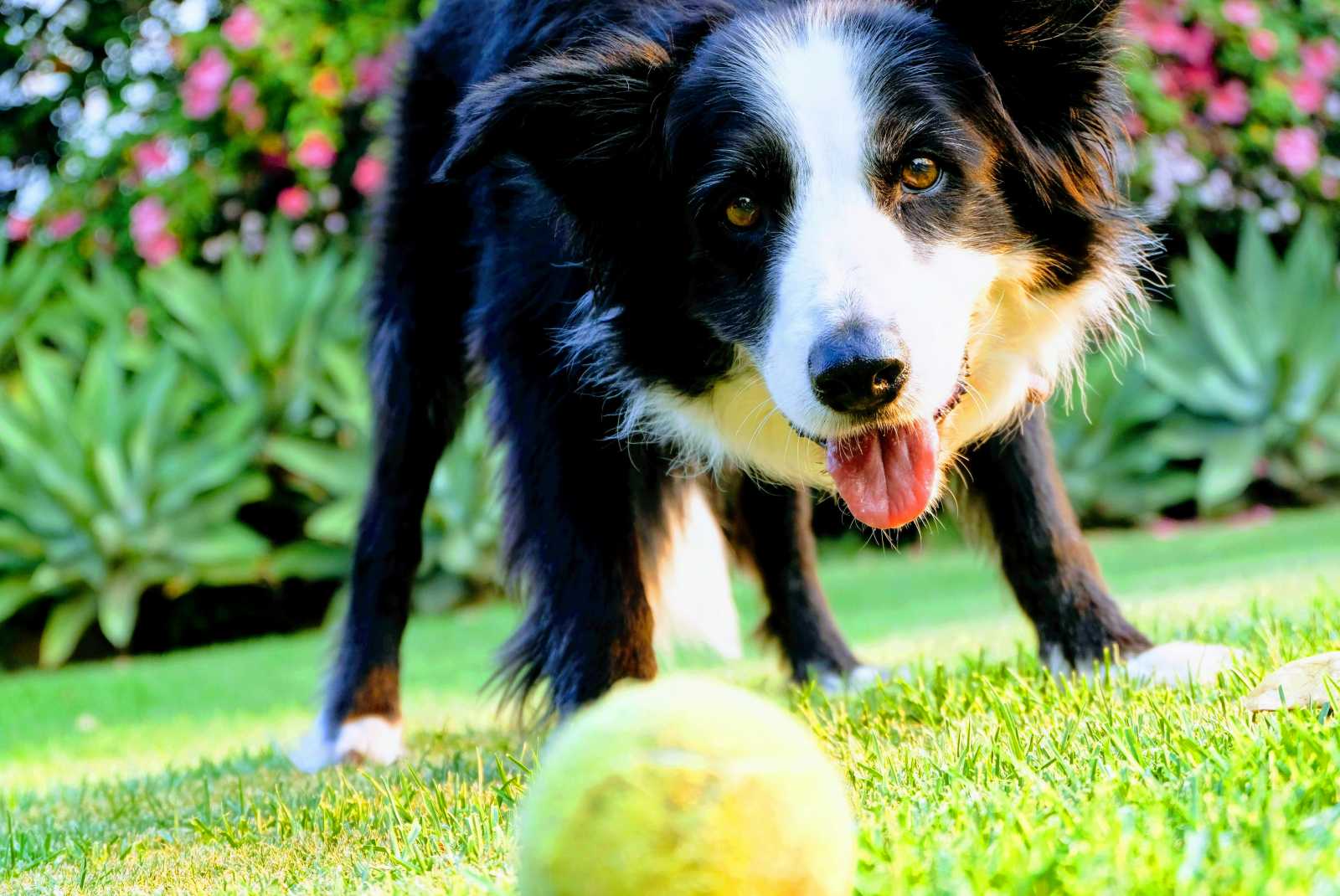 学習ニュース拾い読みのアイキャッチ画像