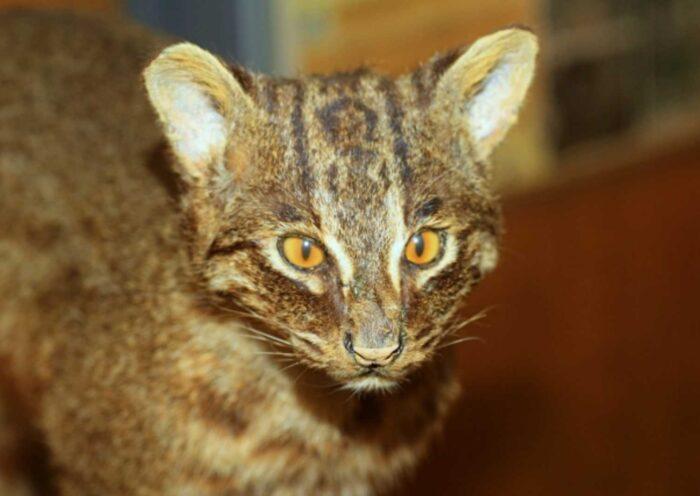 学習ニュース拾い読みのアイキャッチ画像