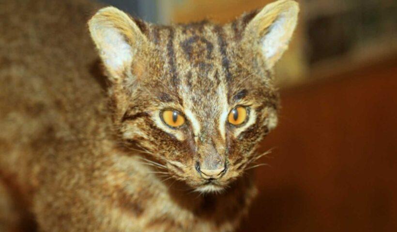 学習ニュース拾い読みのアイキャッチ画像