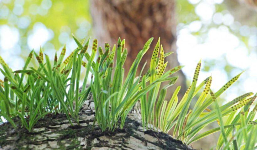 学習ニュース拾い読みのアイキャッチ画像