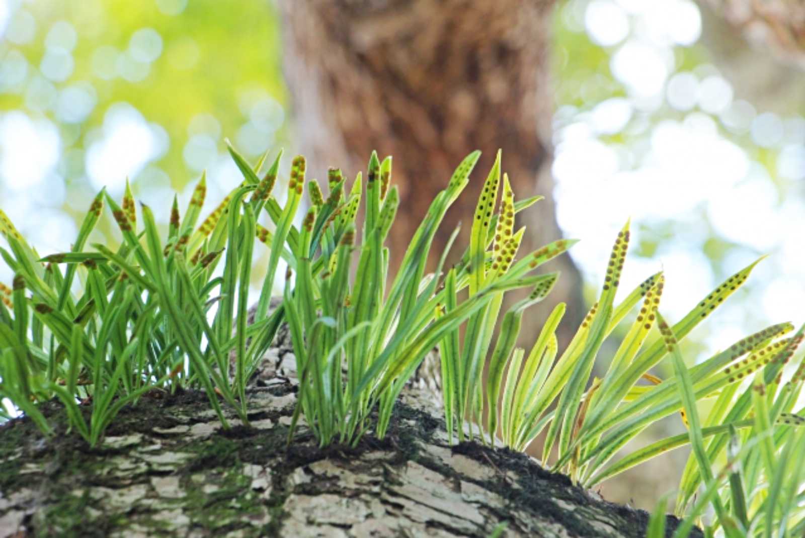 学習ニュース拾い読みのアイキャッチ画像