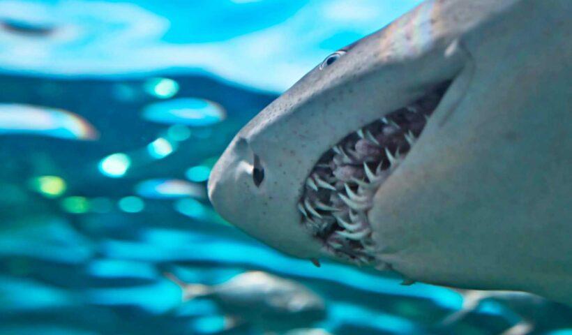 学習ニュース拾い読みのアイキャッチ画像