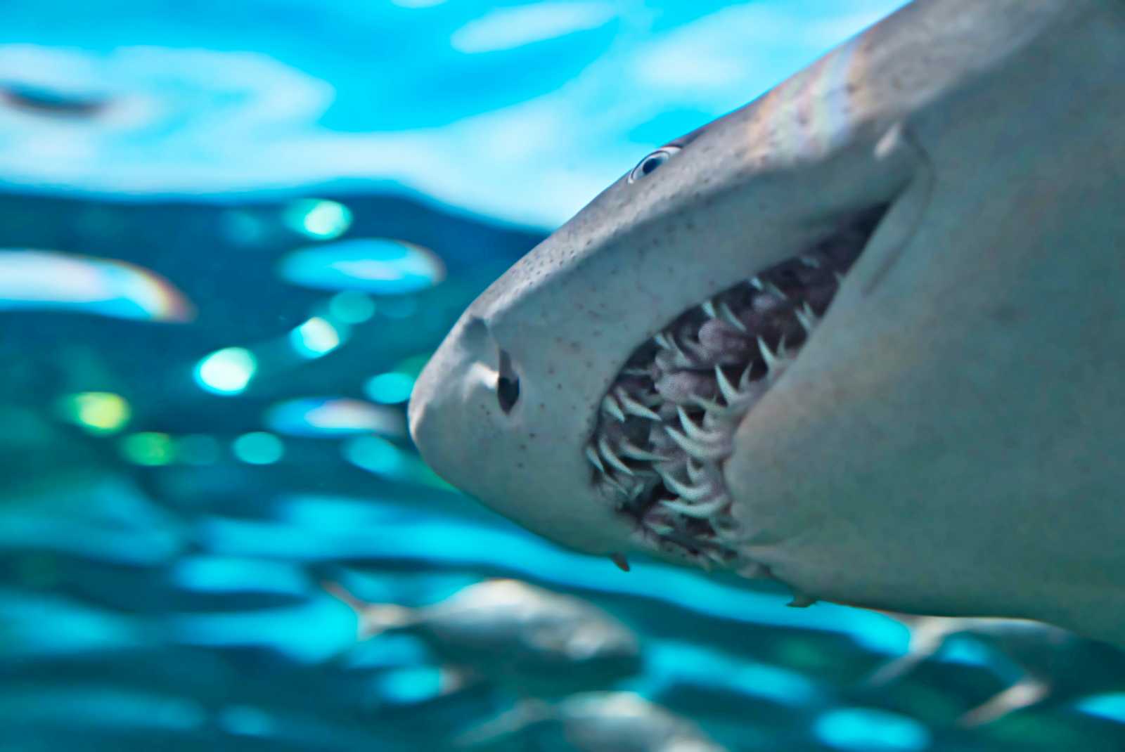 学習ニュース拾い読みのアイキャッチ画像