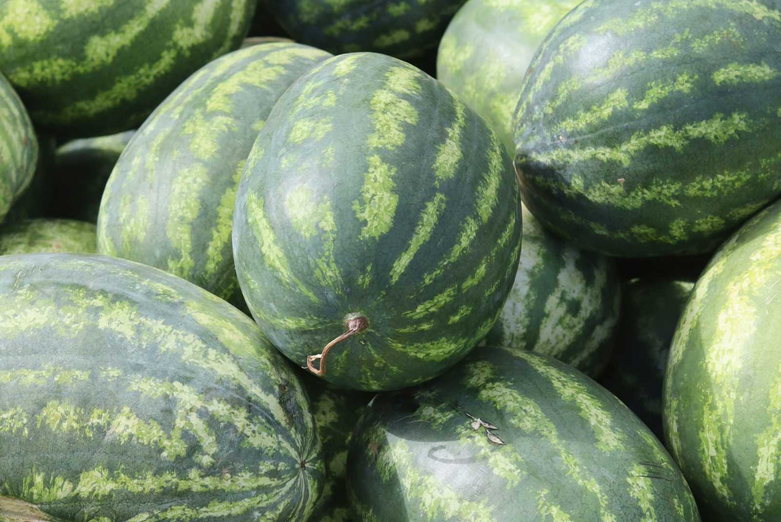 学習ニュース拾い読みのアイキャッチ画像