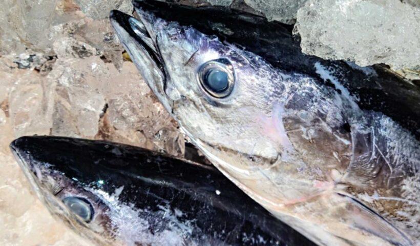 学習ニュース拾い読みのアイキャッチ画像