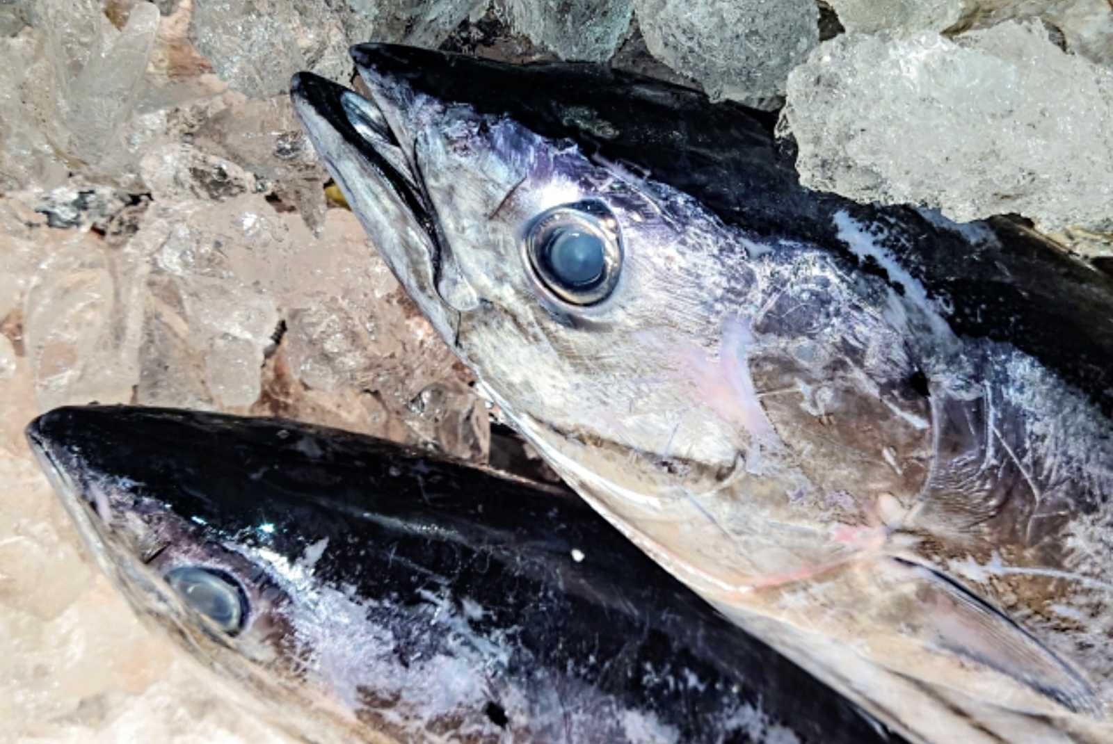 学習ニュース拾い読みのアイキャッチ画像