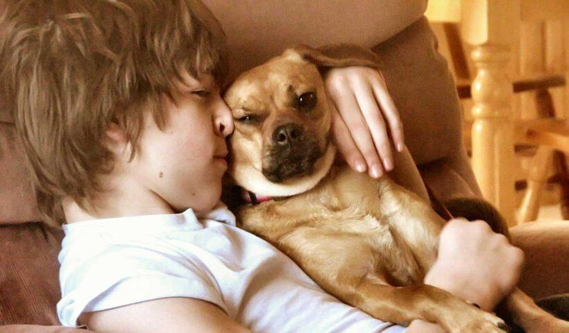 学習ニュース拾い読みのアイキャッチ画像